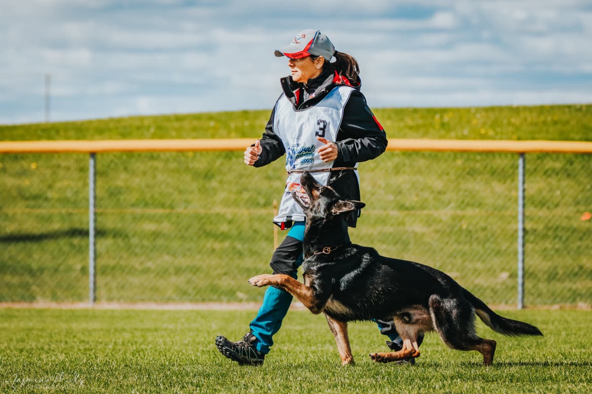 Dog trainer working with a dog